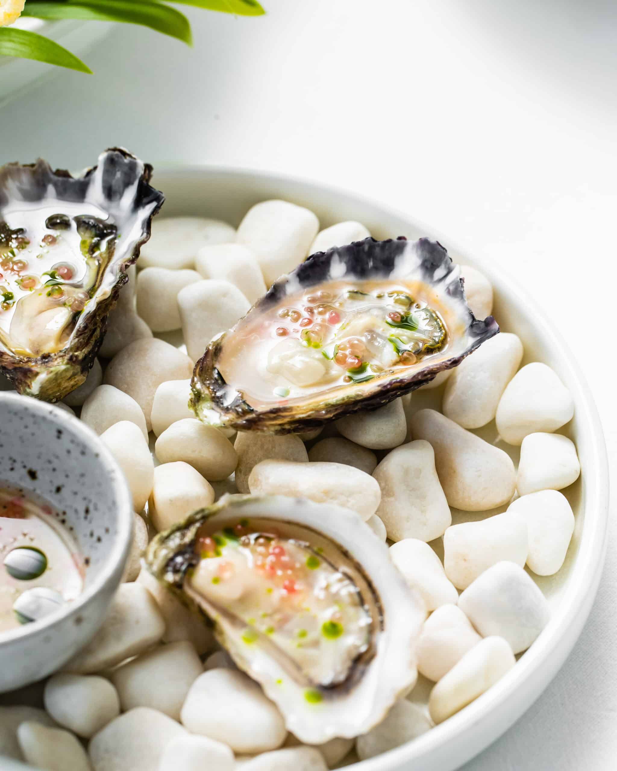 Fresh oysters
